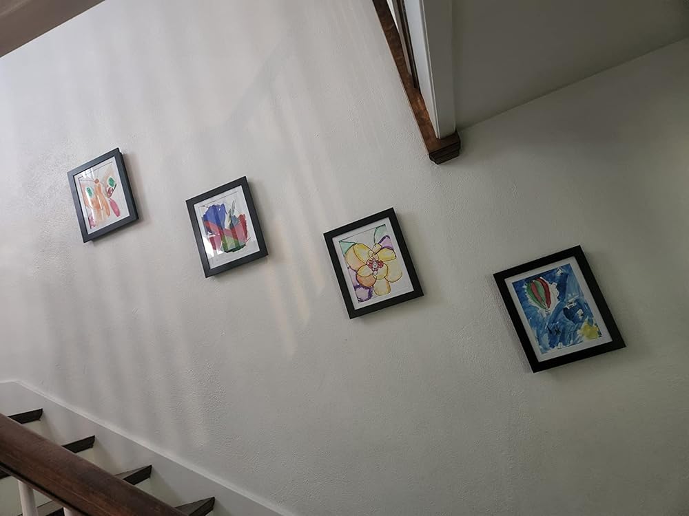 Bubsy Creative Display Frame